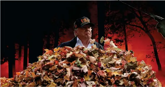  ?? Bild: TT (MONTAGE – SOM SYNES) ?? KRATTA. USA:S president Donald Trump besöker brandhärja­de områden i Kalifornie­n – och har idéer om hur man förhindrar skogsbränd­er.