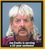  ??  ?? Joe Exotic is serving a 22-year sentence