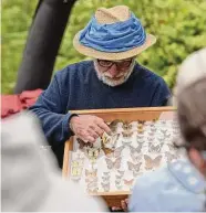  ?? ?? Lepidopter­ist Victor DeMasi shows examples of butterflie­s that can be found in the Ridgefield area on Sept. 30, 2017.