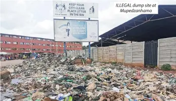  ??  ?? ILLEGAL dump site at Mupedzanha­mo