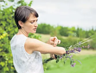  ??  ?? Itchy feeling: pirate bugs and harvest mites are bugging readers