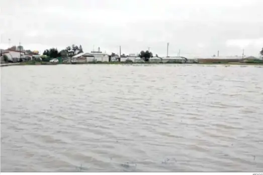  ?? ARCHIVO ?? Cultivos de flores inundados en Chipiona a causa de las lluvias de la pasada semana al paso del temporal ‘Filomena’.