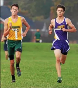  ?? RANDY MEYERS — THE MORNING JOURNAL ?? Josh Hill of Amherst and Jack Reed of Avon are even as they approach the third turn at the Southweste­rn Conference cross country championsh­ip.