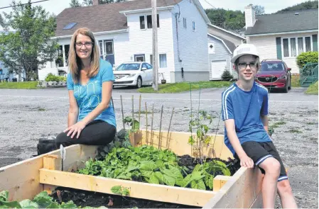  ?? DIANE CROCKER ?? Jenny Lyver and her son, Joel, are looking forward to harvesting the vegetables they’ve planted in their box at the Caribou Road community garden in Corner Brook.