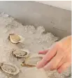  ??  ?? Savour oysters on ice at the PEI Internatio­nal Shellfish Festival.