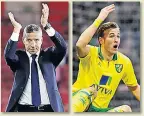  ??  ?? INSPIRED Hughton took Kane to Norwich