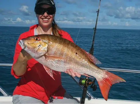  ??  ?? BLACKS RULE: Black grouper, a prize catch, are a big attraction in many Keys reefs and wrecks, opposite. MUCHO MUTTON: Irma broke up a few wrecks, but large muttons are hanging around the pieces, above.