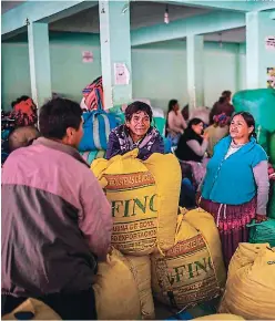  ?? FOTO: AFP ?? Algunos campesinos cocaleros decidieron no unirse a las protestas y en cambio venden su producto en el mercado de La Paz.