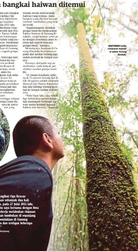Tiada Bangkai Haiwan Ditemui Pressreader