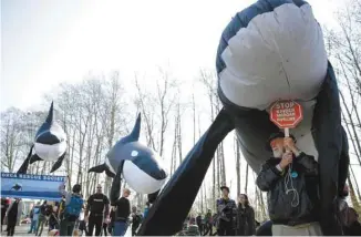  ?? JASON REDMOND AGENCE FRANCE-PRESSE ?? Le projet de Kinder Morgan a rencontré une forte opposition au fil du temps, provoquant plusieurs manifestat­ions dont celle-ci, le 10 mars dernier à Burnaby.