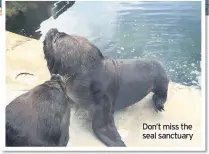  ??  ?? Don’t miss the seal sanctuary