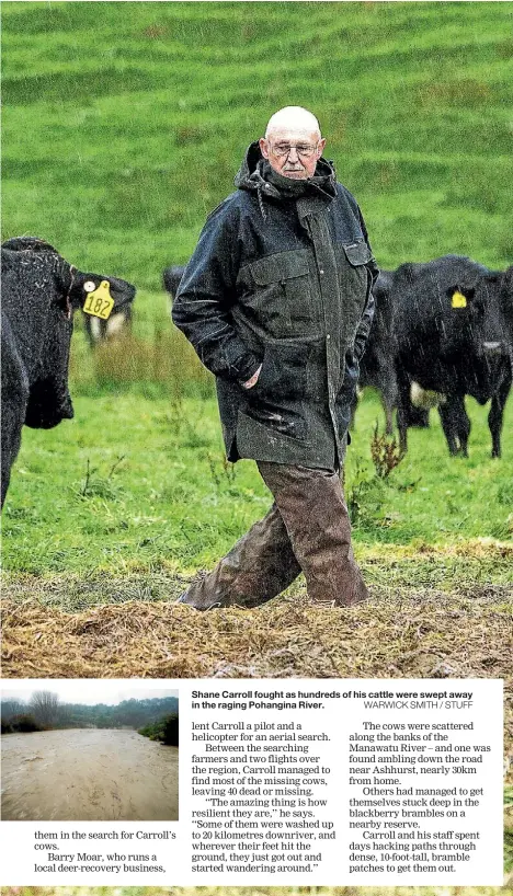  ??  ?? Shane Carroll fought as hundreds of his cattle were swept away in the raging Pohangina River.