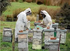  ?? MARY-JO TOHILL ?? Owaka beekeepers, left, Reagan Martin and his dad Trevor Martin, tending their hives in the Catlins, for the family brand, Martin Farm Honey.