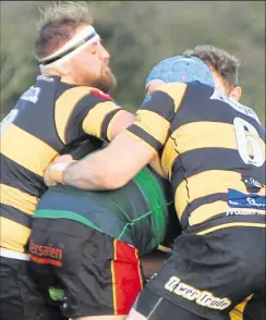  ??  ?? Canterbury show their resolve halting this Cinderford attack