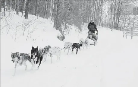  ??  ?? Dog sledding rides are offered year-round at Nemacolin Woodlands Resort; they cost $150, and reservatio­ns are required.