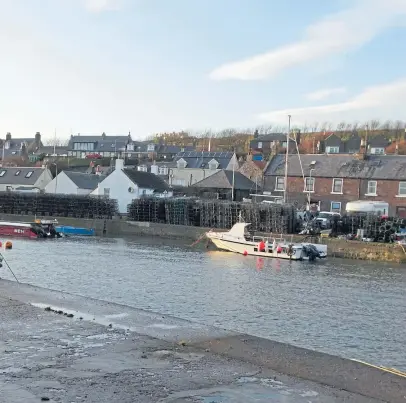  ?? Whitson. ?? The harboursid­e at Johnshaven is piled high with lobster creels while the shellfish season is closed. Picture: Angus