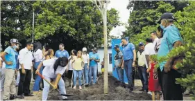  ?? ?? Momento de la siembra del árbol que da inicio a los trabajos.