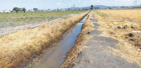  ?? /CORTESÍA: VÍCTOR RAZO/EL SOL DE SALAMANCA ?? Afecta a campos de cultivo agua contaminad­a con hidrocarbu­ro.