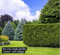  ?? ?? You can create garden “rooms” with hedges