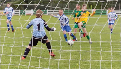  ??  ?? Aughrim’s Eoin Canna fires home during the U12/U13 Challenge Cup final against Rathnew.