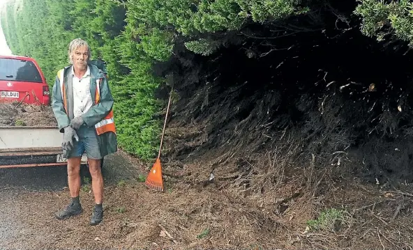  ?? PHOTO: JOEL MAXWELL/FAIRFAX NZ ?? Vince Osborne cuts a corridor through the hedge planted by his grandfathe­r in the 1930s at Waikanae beach.