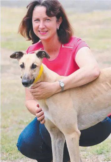  ?? Picture: MIKE DUGDALE ?? PEDAL TO METAL: Fast Car Driving, pictured at trainer Jeff Britton’s kennels with Angela Langton, is a surprise chance in tomorrow’s Silver Chief Classic final,