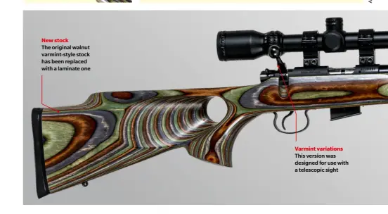  ?? ?? New stock
The original walnut varmint-style stock has been replaced with a laminate one
Varmint variations This version was designed for use with a telescopic sight