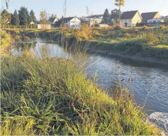  ?? FOTO: BERTHOLD RUESS ?? Die Kanzach in Dürmenting­en ist nicht immer so harmlos. Maßnahmen für den Hochwasser­schutz sind aber sehr teuer.