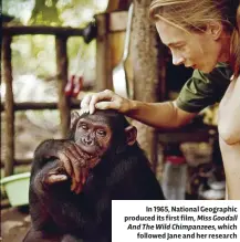  ??  ?? In 1965, National Geographic produced its first film, Miss Goodall And TheWild Chimpanzee­s, which followed Jane and her research