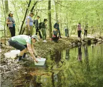  ?? CLOE POISSON/SPECIAL TO THE COURANT ?? Lucy Meigs fills a bucket with water from a vernal pool to inspect for tadpoles and fairy shrimp as she leads a Women of the Woods hike at the Highlawn Forest in Middletown on May 7.