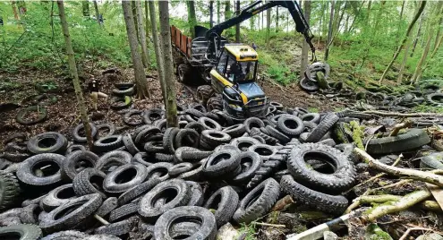  ?? FOTO: MARTIN SCHUTT / DPA ?? Mit schwerer Technik wird die Altlastend­eponie mit rund 1500 Reifen in einem Wald bei Schorba beseitigt.