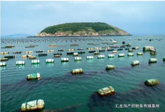  ??  ?? 汇龙海产的鲍鱼养殖基­地