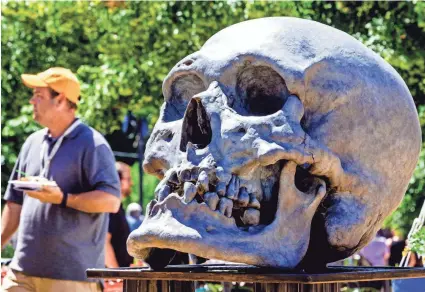  ?? CHRIS LANDSBERGE­R/THE OKLAHOMAN ?? The bronze ‘Skull’ by artist David L. Phelps was on display during the opening day of the 2021 Festival of the Arts in Bicentenni­al Park.