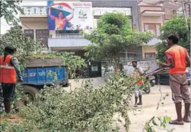  ??  ?? Municipal employees pruning trees and bushes outside the residence of Olympic bronze medal winner wrestler Sakshi Malik in Rohtak on Tuesday. MANOJ DHAKA/HT