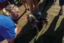  ?? Photograph: Rachel Jessen/The Guardian ?? Beagle Molly gives her best ‘aroo’ during a howling contest at Beaglefest at Lonerider Brewery in Wake Forest, North Carolina.