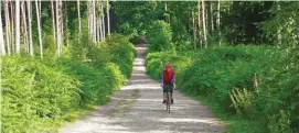  ??  ?? Cycling on the wide well-drained tracks in Delamere Forest