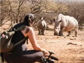  ?? ?? Mokolodi- Rhino- tracking