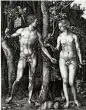  ?? BILD: ALBRECHT DÜRER/STIFT STAMS ?? Adam und Eva.