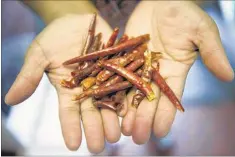  ??  ?? Lopez uses a wide range of spices and chilies in her homemade tamale fillings and salsas, including these dried chilies de arbol.