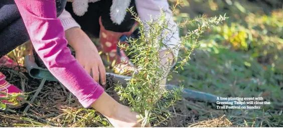  ?? ?? A tree planting event with Greening Taupō will close the Trail Festival on Sunday.