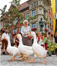  ?? Foto: Feil ?? Ein tierischer Spaß für die ganze Familie ist der Bauernmark­t beim Frundsberg­fest in Mindelheim. Heuer zu erleben am 29. Juni und 8. Juli.