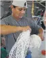  ?? Jerry Lara ?? Jacinto Figueroa Vega works on a shrimp net in Brownsvill­e.