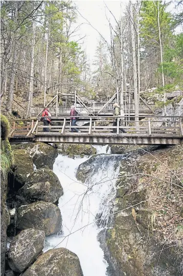  ?? Clemens Fabry ?? Über 26 Holzbrücke­n geht es hinauf: die Myrafälle in Muggendorf.