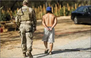  ?? PHOTO/NOAH BERGER ?? In this Sept. 29 file photo, a sheriff’s deputy arrests a man for allegedly cultivatin­g marijuana in unincorpor­ated Calaveras County. AP