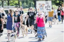  ?? DARIO AYALA FILES ?? People protest against breed-specific legislatio­n for dogs at Pelican Park in 2016. While new laws focus on identifyin­g potentiall­y aggressive pets and making owners responsibl­e for them, dogs can sometimes lash out suddenly and without warning, writes Allison Hanes.