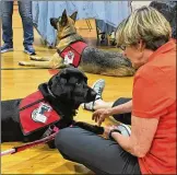  ?? KATIE WEDELL/STAFF ?? Best Friends Pet Assisted Therapy was one of the groups participat­ing in the “Love Shack” event at Northridge High School, offering free wellness services to those affected by the Memorial Day tornadoes.