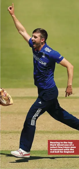  ??  ?? Roaring to the top: Mark Wood one of a select few Lions men to succeed with the red ball for England