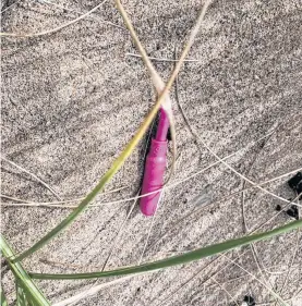  ?? CONTRIBUTE­D ?? A used tampon applicator on Florence beach in August 2020. ACAP Cape Breton says the applicator­s have been increasing in number over the past few years that they now count them as a litter statistic.