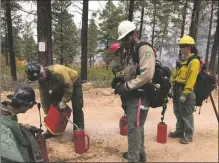  ?? COURTESY PHOTO ?? After two prescribed burns merged into the largest wildfire in New Mexico history this spring, the U.S. Forest Service this week released the results of its review of those burns and recommenda­tions for implementi­ng prescribed burns in the future. Pictured: Firefighte­rs working on the US 84 prescribed burn, happening this week in the western end of the Carson National Forest.