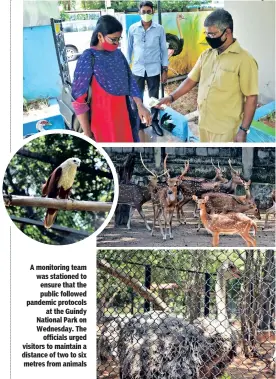  ?? Photos: Manivasaga­n N ?? A monitoring team was stationed to ensure that the public followed pandemic protocols at the Guindy National Park on Wednesday. The officials urged visitors to maintain a distance of two to six metres from animals